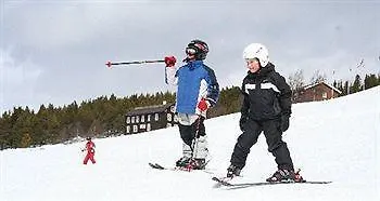 Dalseter Hoyfjellshotell מלון וינסטרה