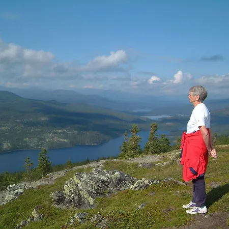 Dalseter Hoyfjellshotell Hotel