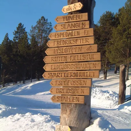 Dalseter Hoyfjellshotell 3*