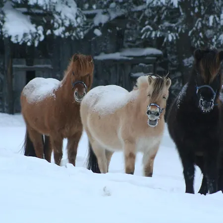 מלון Dalseter Hoyfjellshotell וינסטרה
