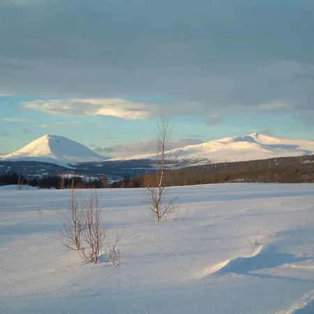 מלון Dalseter Hoyfjellshotell 3*