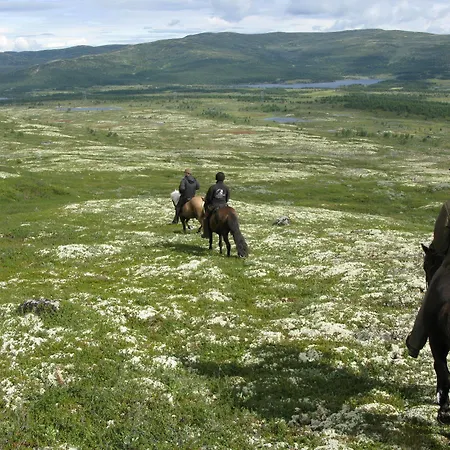 Dalseter Hoyfjellshotell 3* וינסטרה