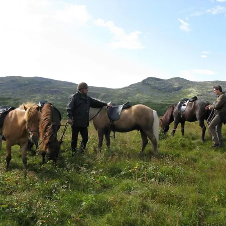 מלון Dalseter Hoyfjellshotell 3*