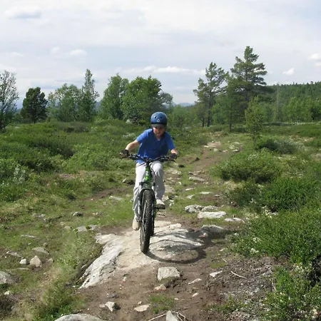 מלון Dalseter Hoyfjellshotell