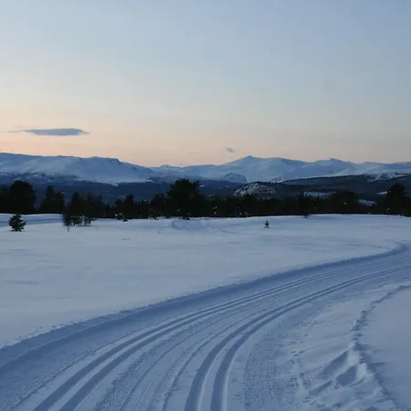 מלון Dalseter Hoyfjellshotell וינסטרה