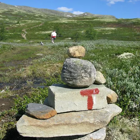 Dalseter Hoyfjellshotell 3*