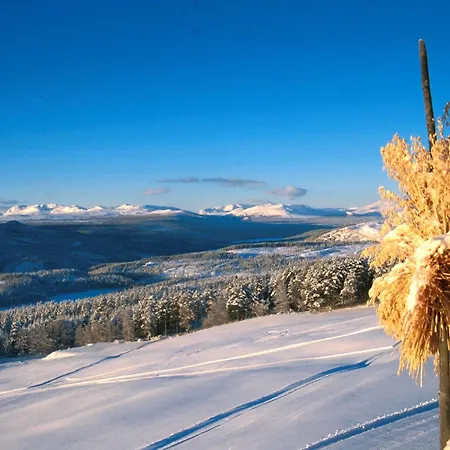 Dalseter Hoyfjellshotell מלון 3*