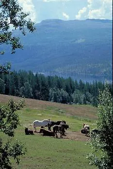Hotell Dalseter Hoyfjellshotell 3*