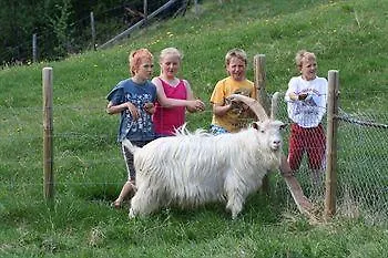 Hotell Dalseter Hoyfjellshotell Vinstra