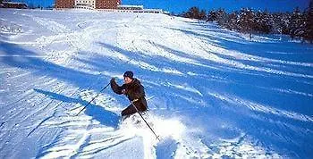 Dalseter Hoyfjellshotell 3*