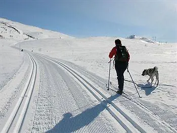 Hotell Dalseter Hoyfjellshotell Vinstra