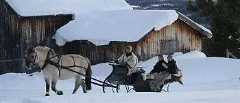 Hotell Dalseter Hoyfjellshotell