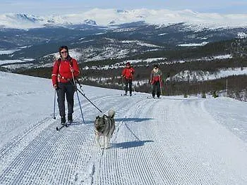Dalseter Hoyfjellshotell 3* Vinstra