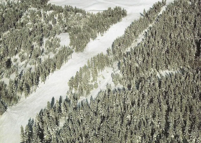 Dalseter Hoyfjellshotell 3* Vinstra