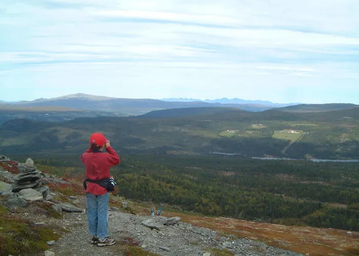 Dalseter Hoyfjellshotell