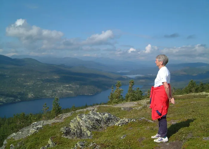 Dalseter Hoyfjellshotell Hotell