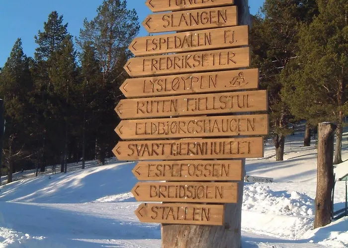 Dalseter Hoyfjellshotell 3*