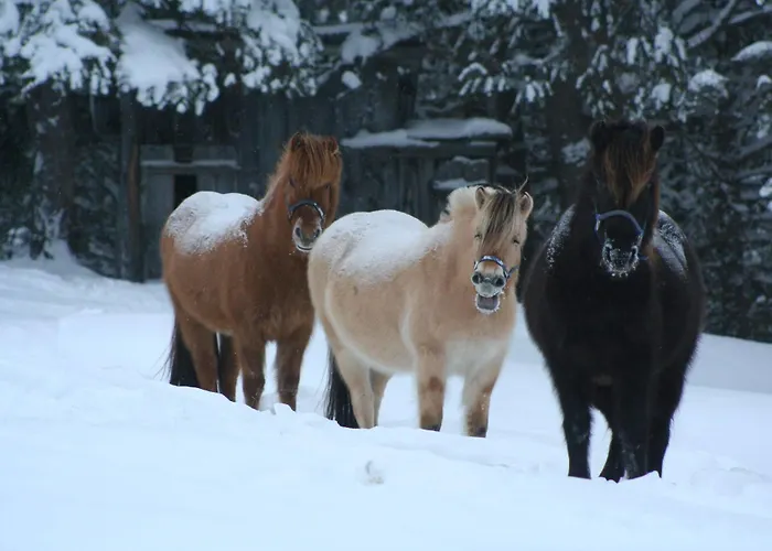 Hotell Dalseter Hoyfjellshotell Vinstra