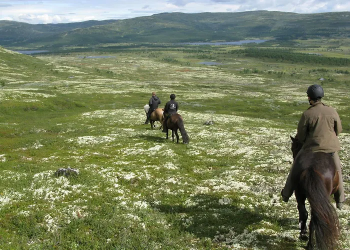 Dalseter Hoyfjellshotell 3* Vinstra