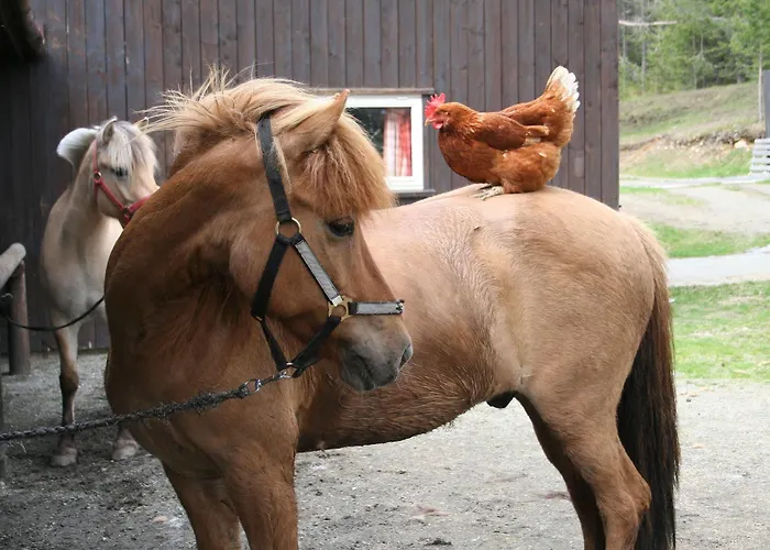 Dalseter Hoyfjellshotell 3* Vinstra