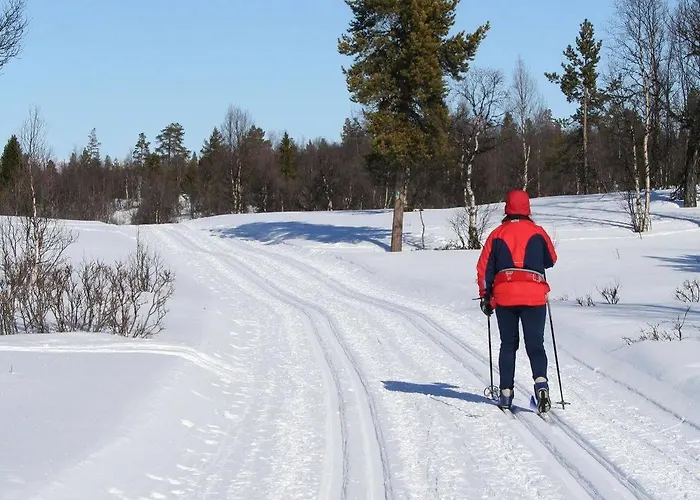 Dalseter Hoyfjellshotell Hotell 3*