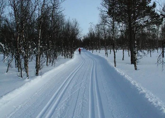 Dalseter Hoyfjellshotell Hotell Vinstra