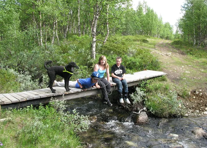 Hotell Dalseter Hoyfjellshotell