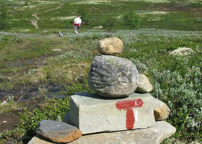 Dalseter Hoyfjellshotell 3*