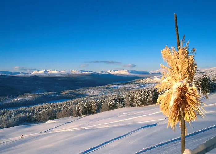 Dalseter Hoyfjellshotell Hotell 3*