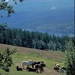 מלון Dalseter Hoyfjellshotell 3*