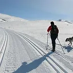 מלון Dalseter Hoyfjellshotell וינסטרה
