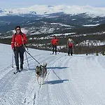 Dalseter Hoyfjellshotell 3* וינסטרה