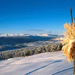 Dalseter Hoyfjellshotell מלון 3*